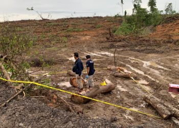 D:\2025\Januari 2025\24 Januari 2025\2\Arutmin Laporkan Kerusakan Tanaman Reklamasi.jpg