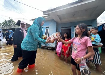 D:\2025\Januari 2025\31 Januari 2025\5\Hal 5\Ketua TP PKK Kabupaten Banjar Hj Nurgita Tiyas menyerahkan bantuan.jpg