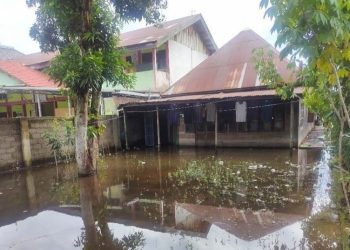 89 Desa di Hulu Sungai Utara Terendam Banjir
