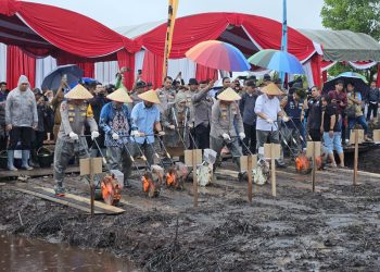 Pemprov Tanam Jagung Serentak Seluas 120 Ha