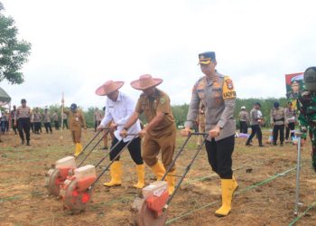 Pemkab dan Polres Tabalong Gelar Penanaman Jagung