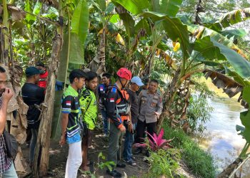 D:\2025\Februari 2025\25 Februari 2025\2\Seorang Balita di Tantaringin Dinyatakan Hilang.jpg