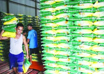 D:\2025\Februari 2025\28 Februari 2025\7\7\ft master.jpg