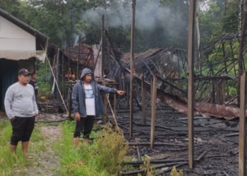 D:\2025\Februari 2025\3 Februari 2025\2\Kandang Ayam di Padang Panjang Hangus Terbakar.jpg