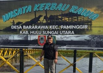 Wisata Kerbau Rawa HSU jadi destinasi baru di HSU
