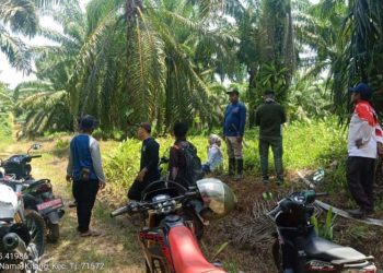 Warga Desa Bintang Ara keluhkan angkutan sawit PT BCL