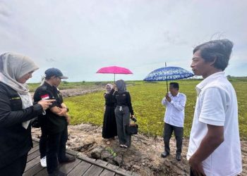 Optimalisasi lahan Terkendala dana