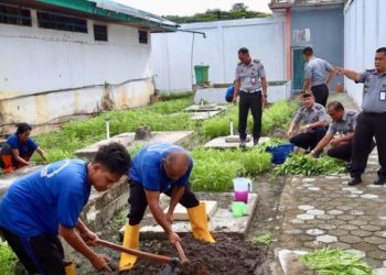 Lapas Amuntai Kalsel budidaya ragam sayuran untuk pembinaan WBP