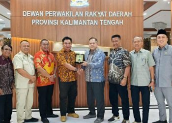 DPRD Kalsel Dukung Efisiensi Anggaran
