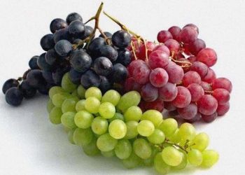 D:\2025\Maret 2025\10 Maret 2025\11\Halaman 1-11 Senin\studi.jpg