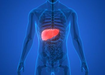 D:\2025\Maret 2025\11 Maret 2025\11\Halaman 1-11 Selasa\5 sayuran.jpg