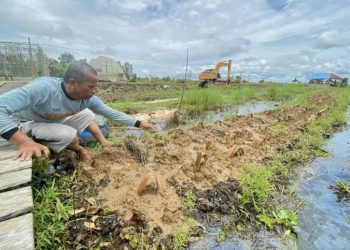 D:\2025\Maret 2025\11 Maret 2025\2\Ribuan Cabai Hiyung Ditanam dengan Metode Apung.jpg