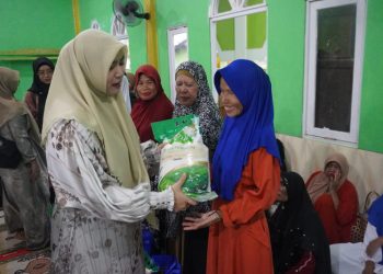 D:\2025\Maret 2025\11 Maret 2025\5\hal 5\Ketua TP PKK Kabupaten Banjar Hj Nurgita Tiyas menyerahkan paket sembako.jpg