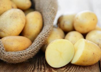 D:\2025\Maret 2025\12 Maret 2025\11\Halaman 1-11 Rabu\6 makanan.jpg