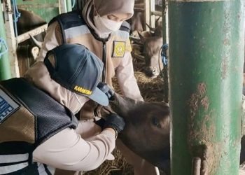 D:\2025\Maret 2025\13 Maret 2025\2\Karantina Awasi Komoditas di Pelabuhan.jpg