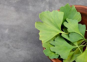 D:\2025\Maret 2025\19 Maret 2025\11\Halaman 1-11 Rabu\4 herbal.jpg