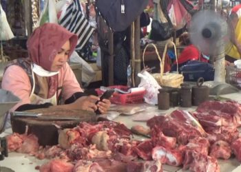 D:\2025\Maret 2025\19 Maret 2025\7\7\master 7.jpg