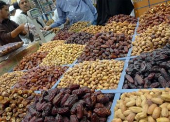 D:\2025\Maret 2025\19 Maret 2025\7\7\sdvd.jpg