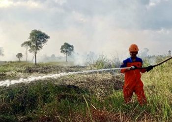 D:\2025\Maret 2025\20 Maret 2025\5\hal 5\Tim Tenaga Kebencanaan (TKB) BPBD Kalsel memadamkan kebakaran.jpg