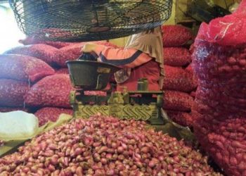 D:\2025\Maret 2025\24 Maret 2025\7\7\hal 7 - 2 klm (KIRI).jpg