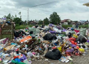 D:\2025\Maret 2025\25 Maret 2025\5\hal 5\Kawasan Sungai Gampa jadi pusat pemilihan sampah Banjarmasin.jpg