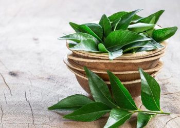 D:\2025\Maret 2025\26 Maret 2025\11\cara.jpg