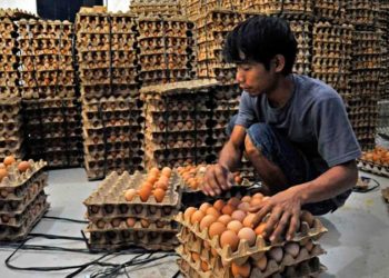 D:\2025\Maret 2025\26 Maret 2025\7\7\hal 7 - 2 klm (Bawah).jpg