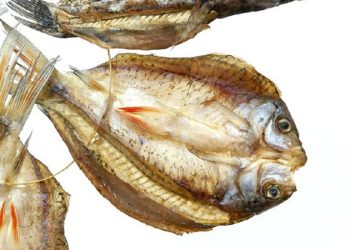 D:\2025\Maret 2025\4 Maret 2025\11\Halaman 1-11 Selasa\jangan.jpg