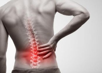 D:\2025\Maret 2025\4 Maret 2025\11\Halaman 1-11 Selasa\saraf.jpg