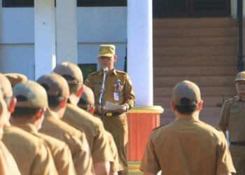 D:\2025\Maret 2025\4 Maret 2025\2\ewg.jpg