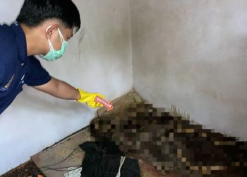 D:\2025\Maret 2025\4 Maret 2025\2\Warga di HST Temukan Kerangka Terbaring.jpg