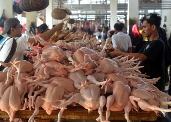 D:\2025\Maret 2025\4 Maret 2025\7\hal Ekonomi (04 Maret))\reb.jpg