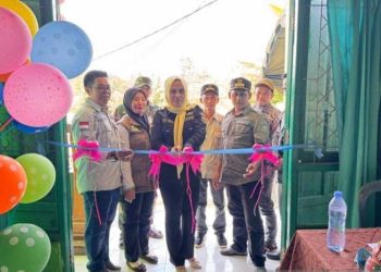 Anggota DPRD dorong Puskesmas Pamukan II jadi rujukan