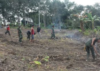 Kodim Kotabaru Kalsel buka lahan tidur jadi kebun bagi ekonomi warga