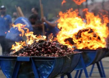 Pemusnahan Bawang Merah Impor Ilegal Dan Pakaian Bekas