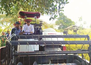 Bupati Tabalong Hadiri Panen Raya di Desa Pangelak