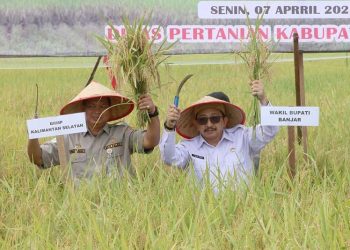 Desa Lok Tangga Berpotensi Menjadi Lumbung Padi