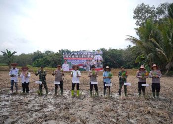 Dukung Ketahanan Pangan Nasional, Pemkab Balangan Ikuti Gerakan Tanam Padi Serentak