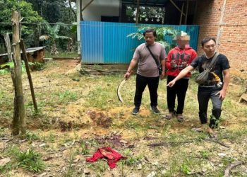 D:\2025\Mei 2025\19 Mei 2025\2\Tersinggung, SU Habisi Nyawa Pria di Satui.jpg