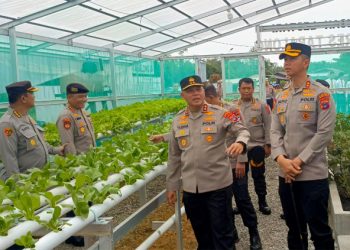 D:\2025\Mei 2025\26 Mei 2025\2\zcxz.jpg