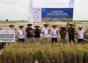 Bank Kalsel Wujudkan Kolaborasi Ketahanan Pangan Dan Dorong Ekonomi Daerah