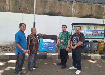 Bank Kalsel Serahkan Dua Ekor Sapi