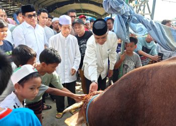 Bupati Sahrujani Serahkan Hewan Korban Bantuan Presiden Prabowo