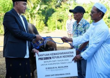 Bupati Tala Serahkan Sapi Bantuan Presiden RI