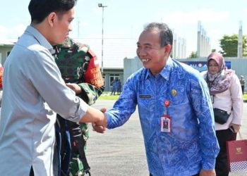 Kunker ke Banua, Wapres Disambut Pj Sekdaprov Kalsel