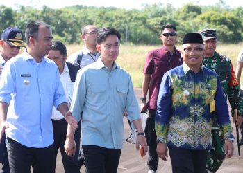 Bupati dan Wabup Dampingi Wapres Tinjau Bandara Warukin
