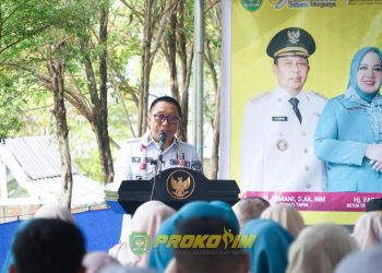 Rapat Koordinasi TPK2D Desa Kambang Habang Baru Digelar