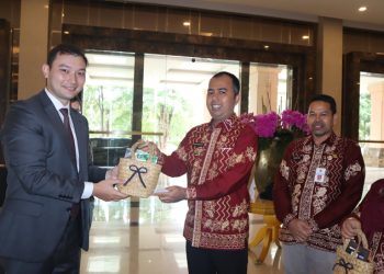 Bupati Banjar Terima Kunjungan Wamen UMKM