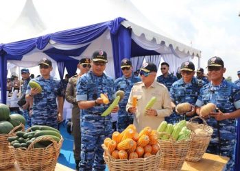 KSAU Bersama Gubernur Kalsel Panen Raya Jagung