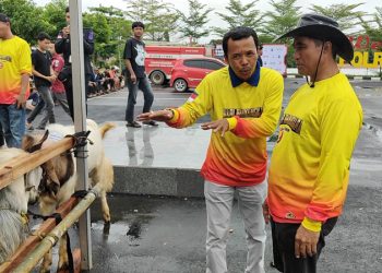 Bupati Tanbu Apresiasi Bhayangkara Run Dan Kontes Kambing BerAKSI